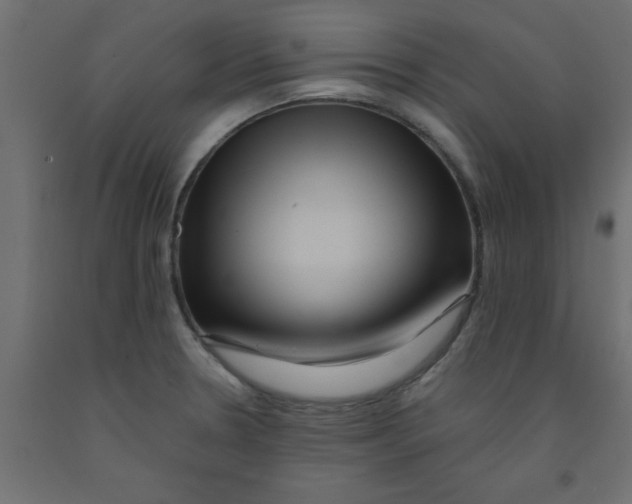 X0000090861330200708241850