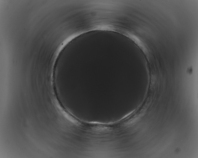 X0000090861331200708241850