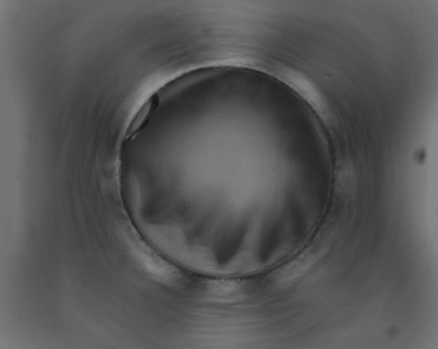 X0000090861332200708241850