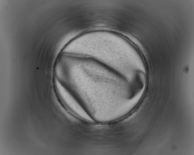X0000090861333200708241850