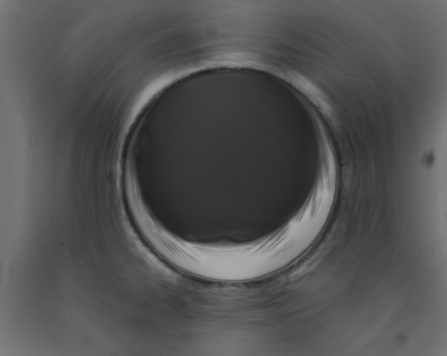 X0000090861334200708241850