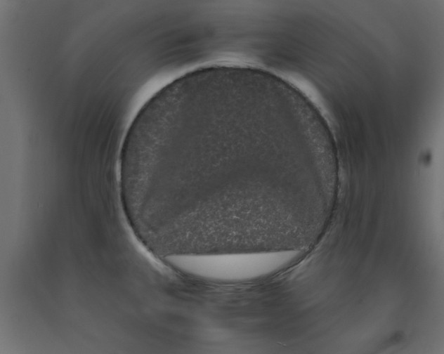 X0000090861335200708241850