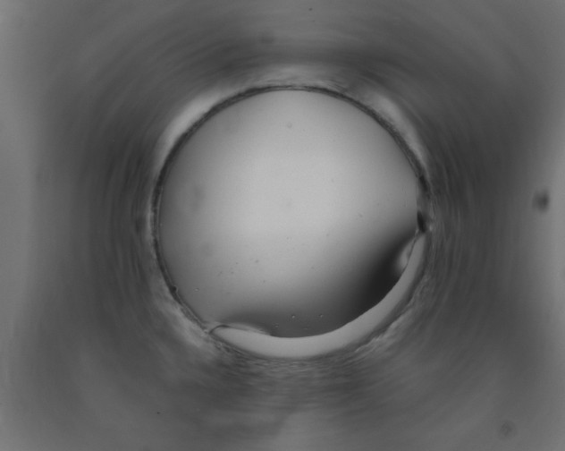 X0000090861336200708241850