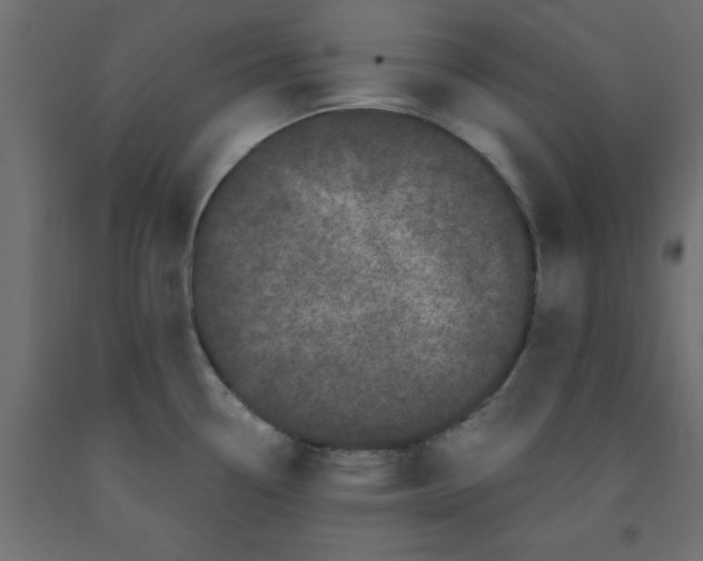 X0000090861338200708241850