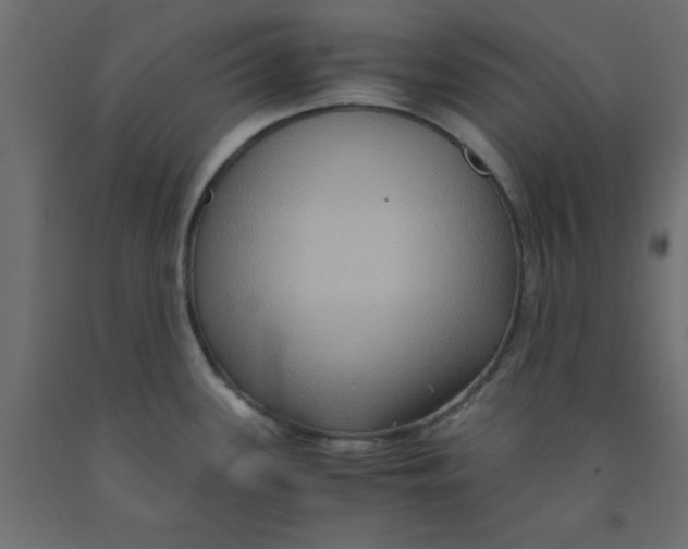 X0000090861339200708241850