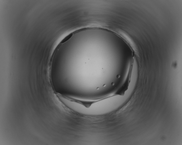 X0000090861340200708241850