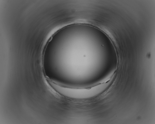 X0000090861342200708241850