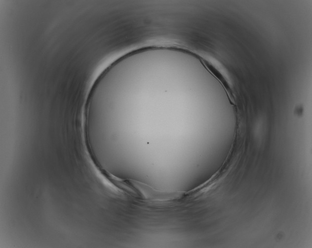 X0000090861343200708241850