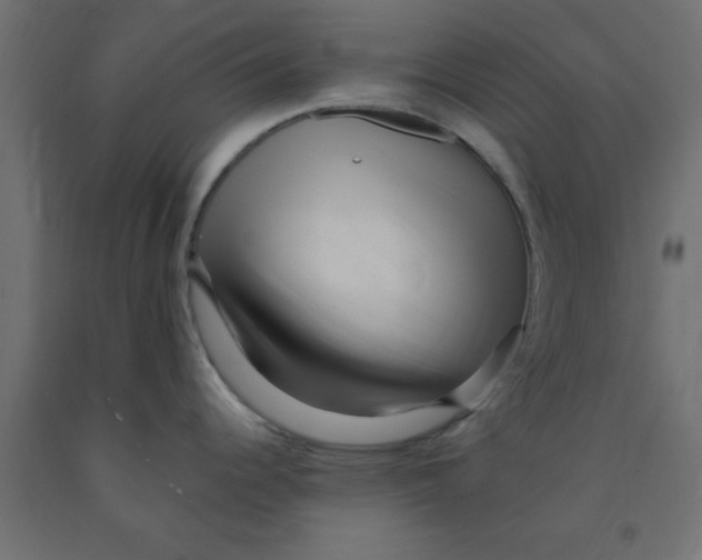 X0000090861344200708241850