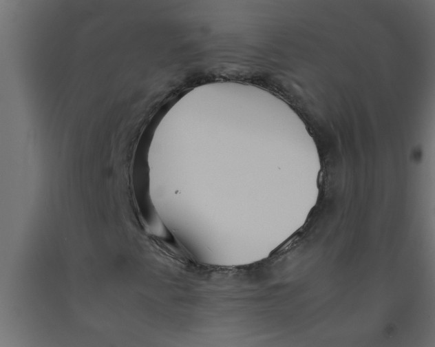 X0000090861345200708241850