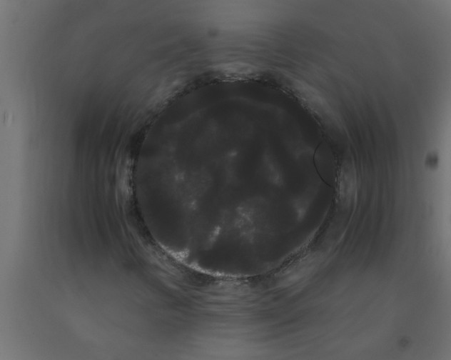X0000090861346200708241850