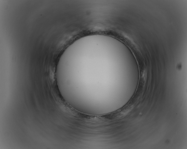 X0000090861348200708241850