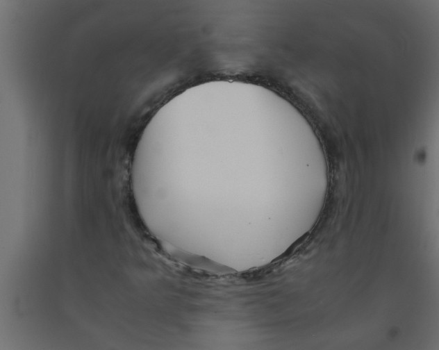 X0000090861349200708241850