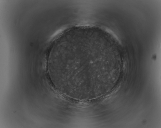 X0000090861350200708241850