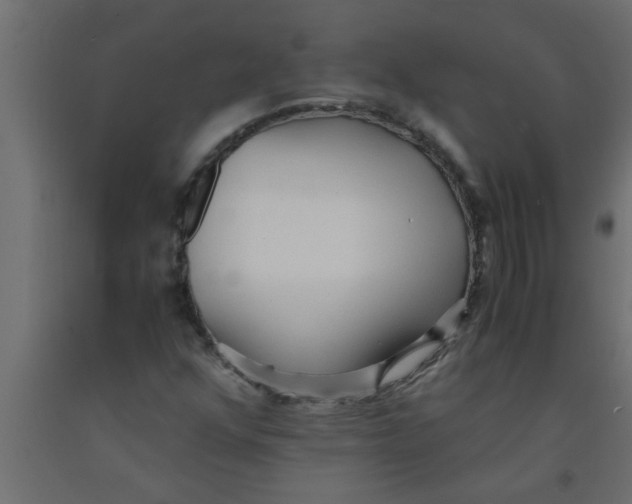 X0000090861352200708241850