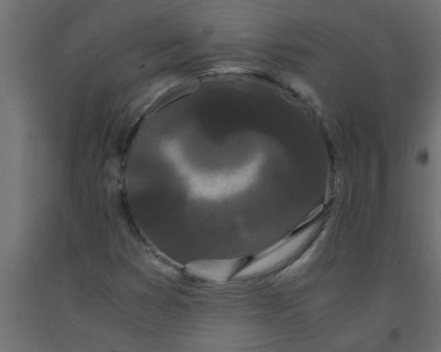 X0000090861353200708241849
