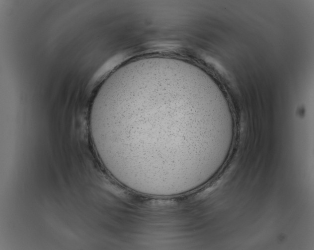 X0000090861354200708241849