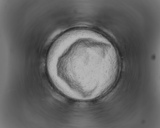 X0000090861355200708241849