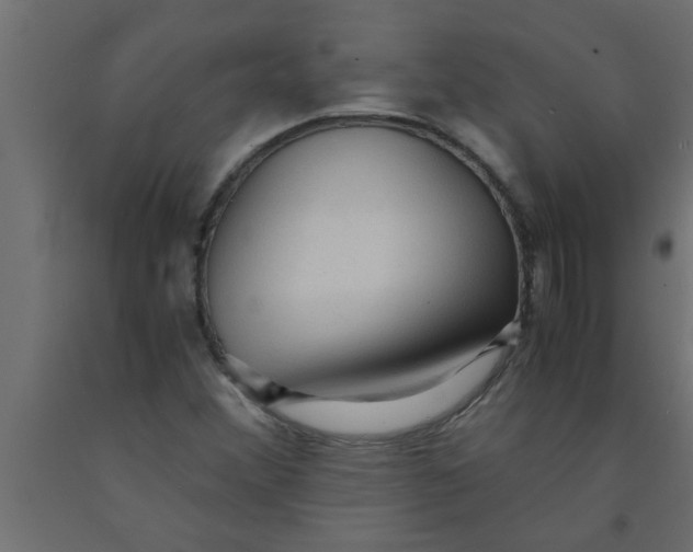 X0000090861356200708241849