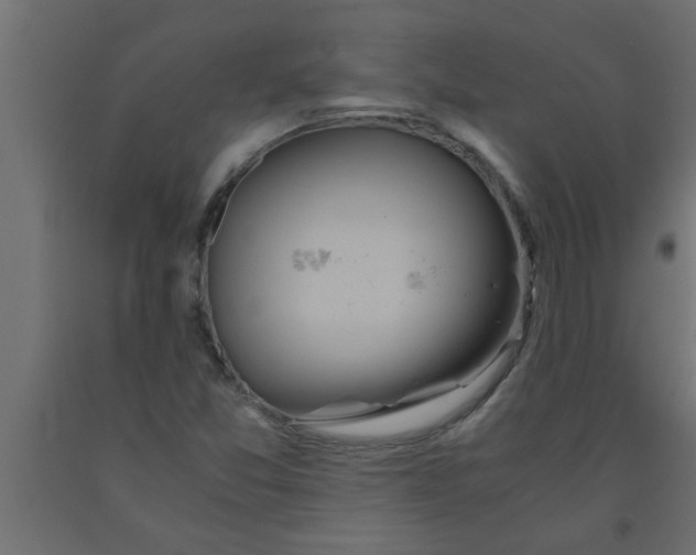 X0000090861357200708241849