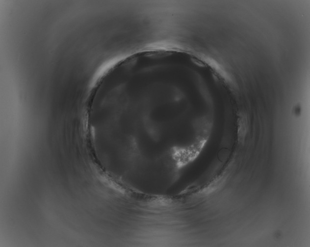 X0000090861358200708241849