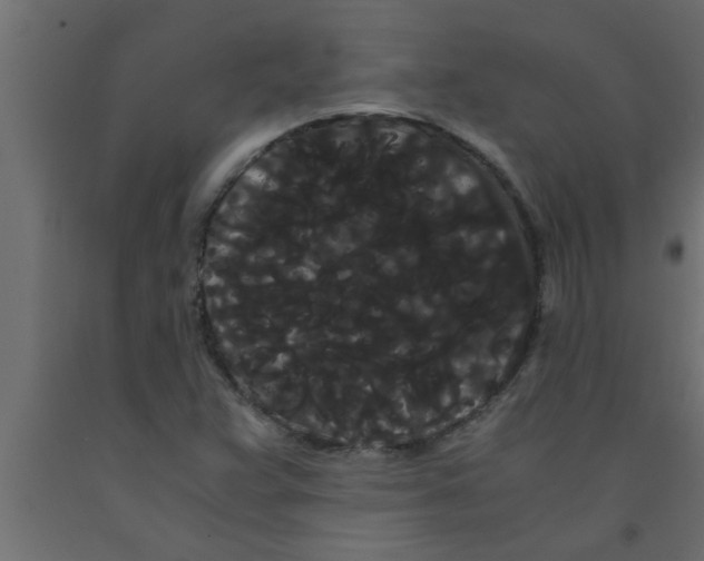 X0000090861359200708241849