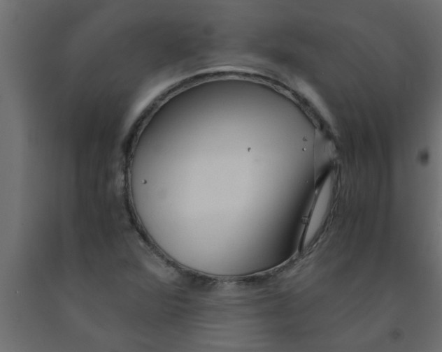 X0000090861360200708241849