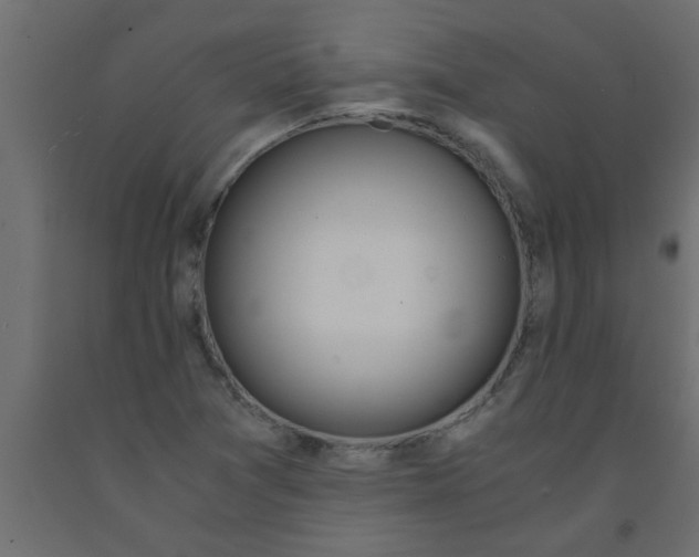 X0000090861361200708241849