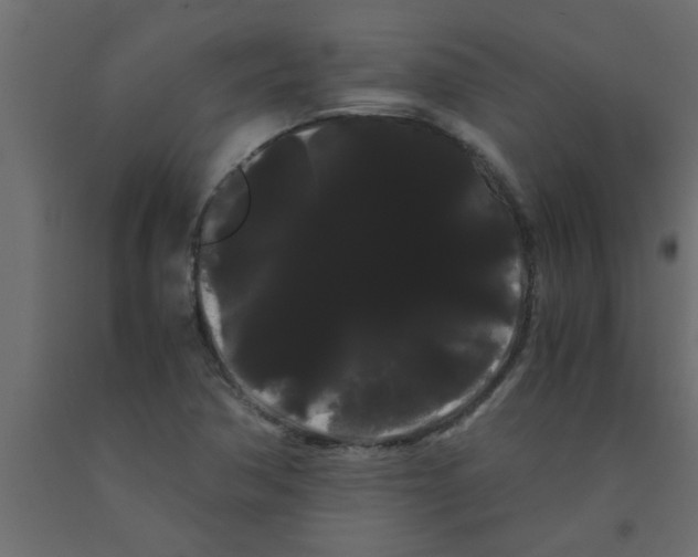X0000090861362200708241849