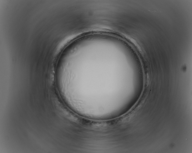 X0000090861363200708241849
