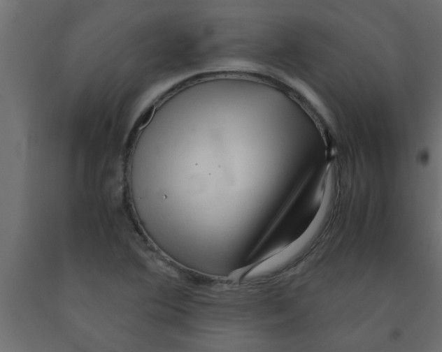 X0000090861364200708241849