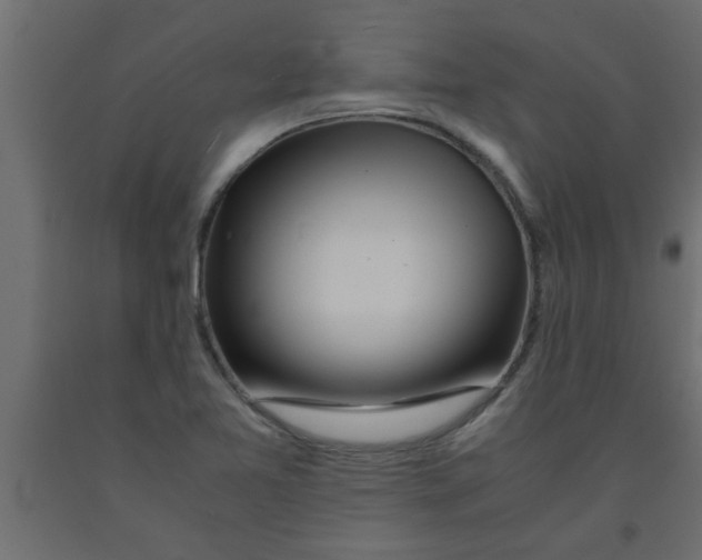 X0000090861365200708241849