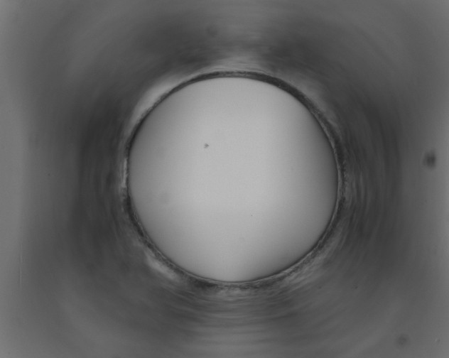 X0000090861366200708241849