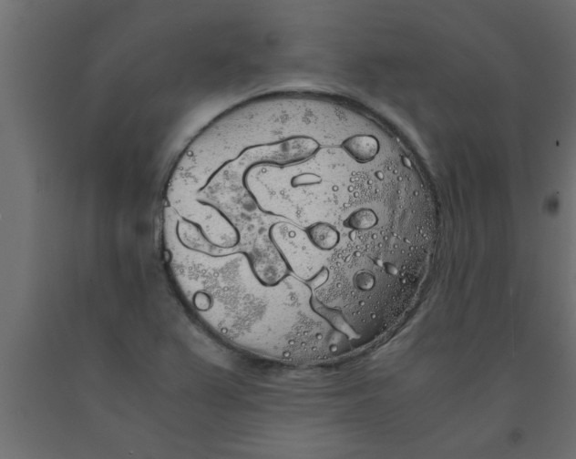 X0000090861367200708241849