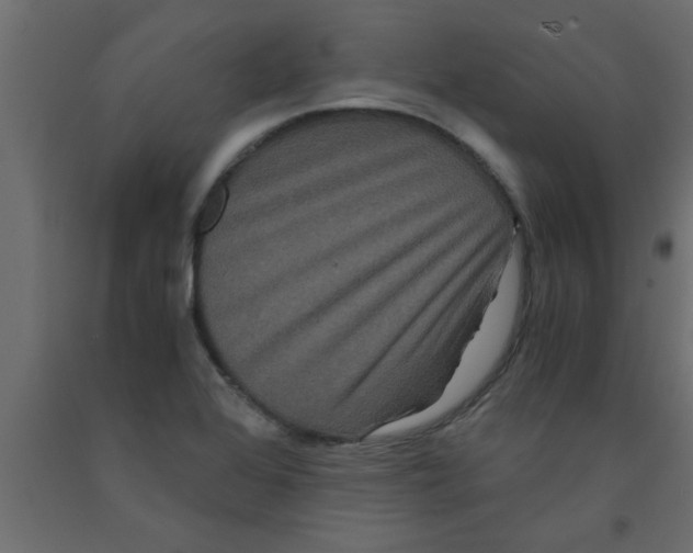 X0000090861368200708241849