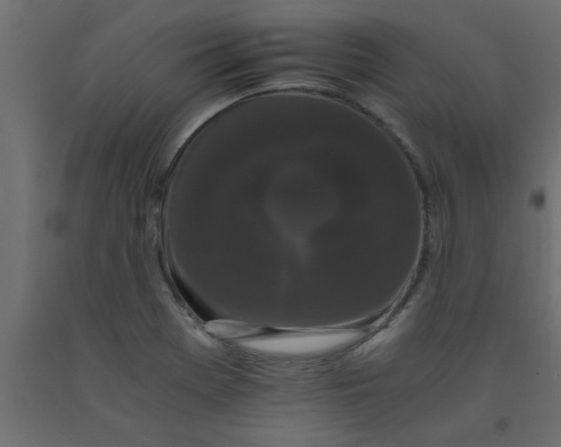 X0000090861369200708241849