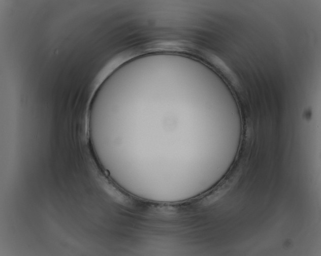 X0000090861370200708241849