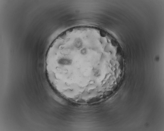 X0000090861371200708241849
