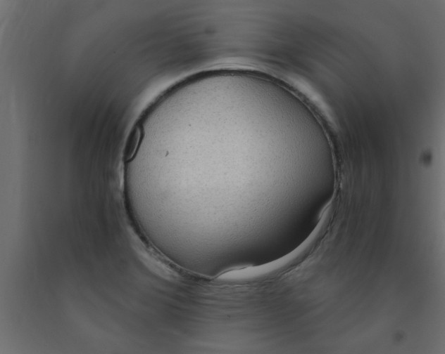 X0000090861372200708241849