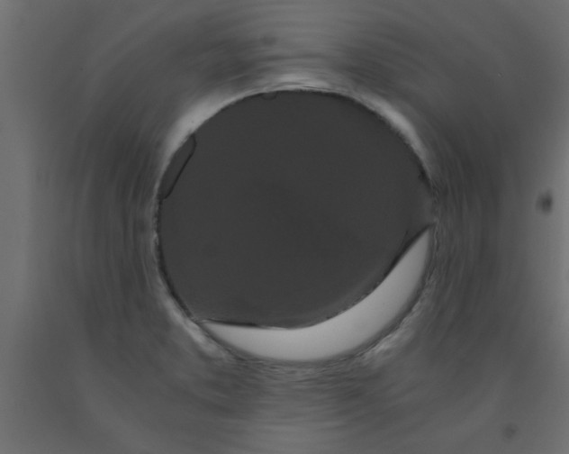 X0000090861373200708241849