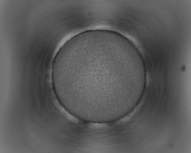 X0000090861374200708241849