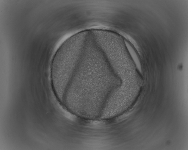 X0000090861375200708241849