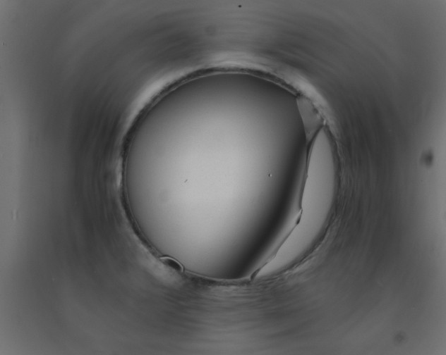 X0000090861376200708241849