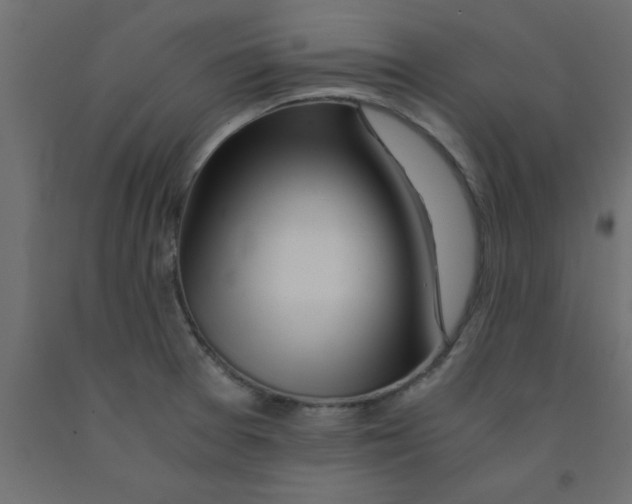 X0000090861377200708241849