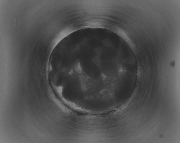 X0000090861378200708241849