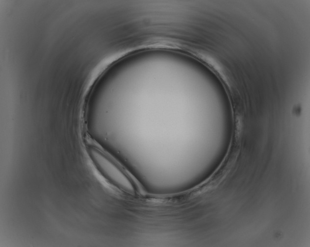 X0000090861379200708241849