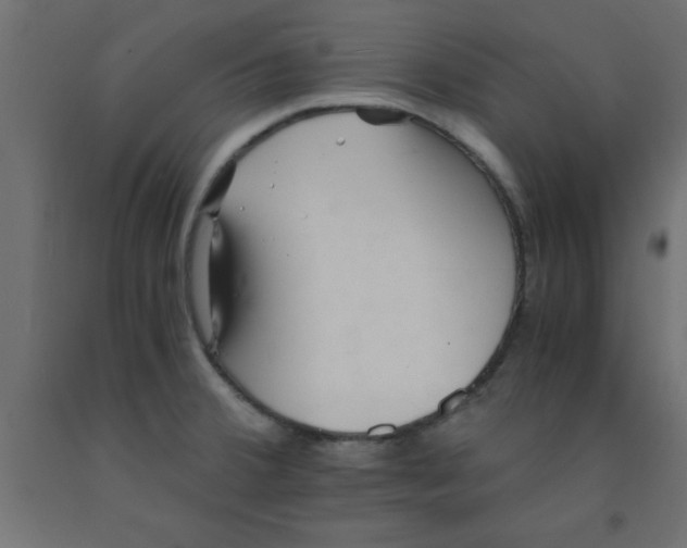 X0000090861380200708241849