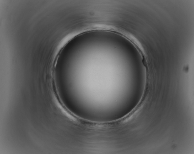 X0000090861381200708241849