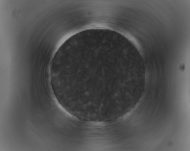 X0000090861382200708241849