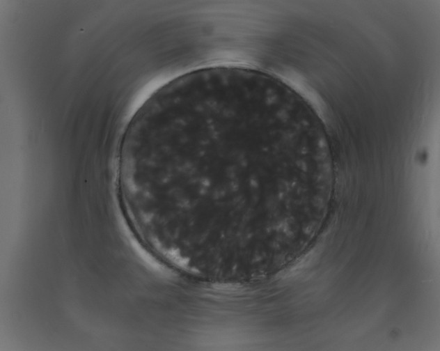 X0000090861383200708241849